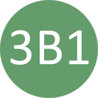3B1 image